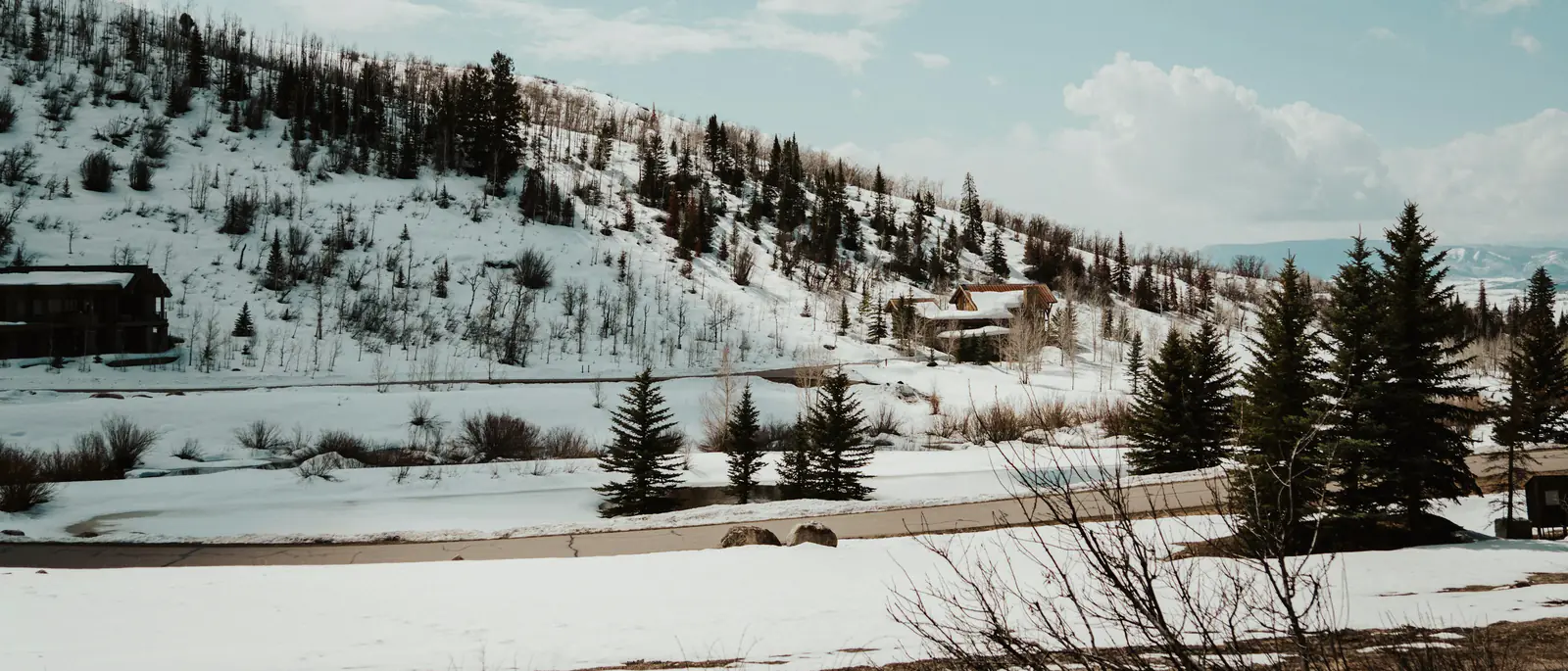Snowy foothills with houses and evergreens under a blue sky