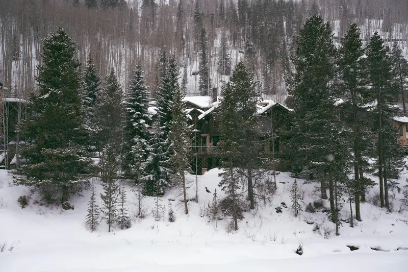 Mountain lodge among snow-covered spruce trees